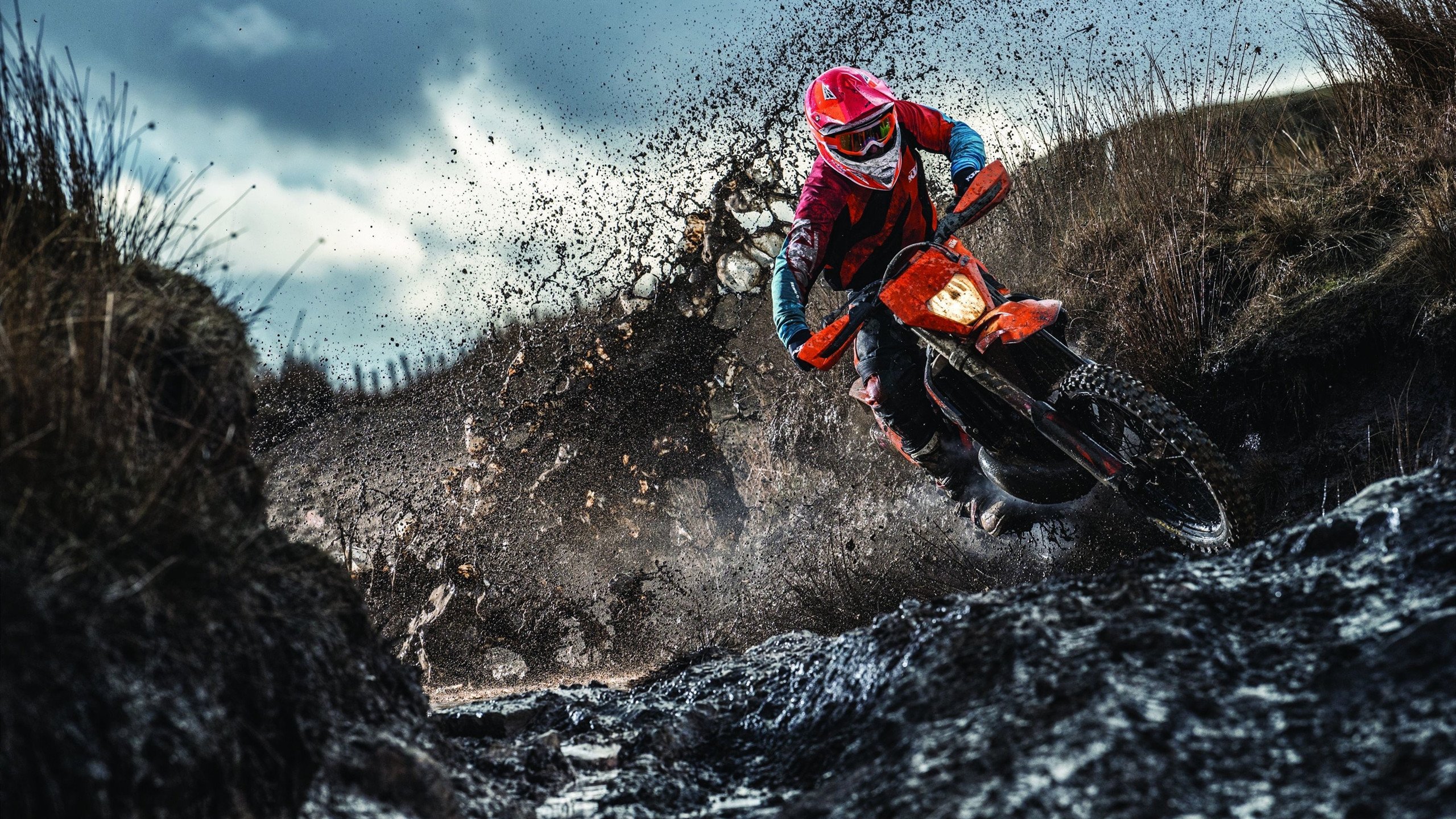 F1巴西站冲刺赛：恭喜诺里斯！皮亚斯特里退赛引发红旗，维斯塔潘落后40分